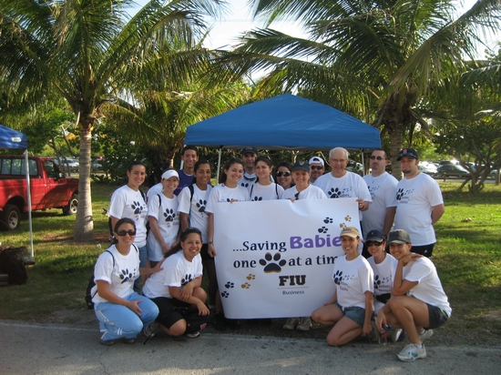 A team from the College of Business Administration raised $3,672 for the March of Dimes.