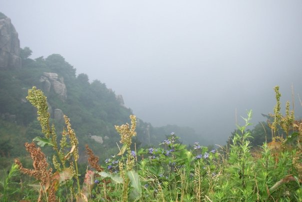 Lovely view, Taishan