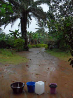 Catching rainwater in front of my new home in beautiful Akpap Okoyong, Cross River State. No running water here!